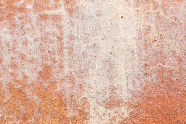 照片的背景是桃花心木图片下载