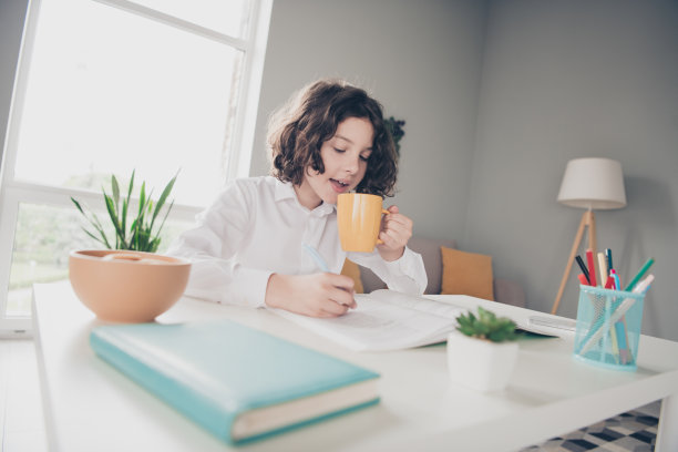 可爱可爱的小男孩小学生做家庭作业的照片，在室内吃零食图片下载