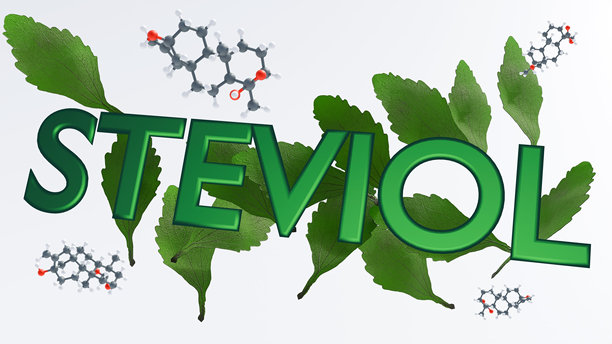 甜叶菊叶中发现的甜菊醇分子图片下载