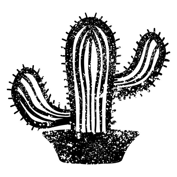 仙人掌在锅与垃圾纹理图片下载