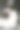 姐妹们不见了——蝴蝶扇动翅膀把她们带走了。图片下载
