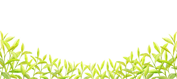 用水彩画的绿色茶叶田地图片下载