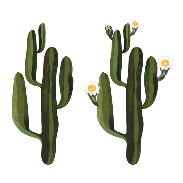 仙人掌。盛开的仙人掌，开着白色和黄色的花。家里的植物。花卉栽培。沙漠植物。孤立的水彩插图在白色的背景。剪纸艺术。图片下载