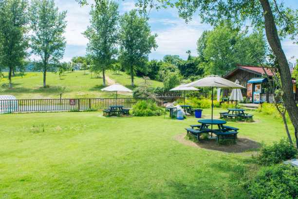 咖啡店，户外，公园图片下载