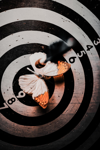 我们的目标。图片下载