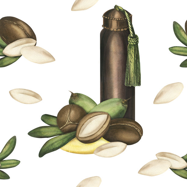 摩洛哥坚果树种子的无缝图案。带叶子的棕色摩洛哥坚果。白色背景水彩插图。皮肤和头发护理，食品和美容中的维生素。用于包装、纺织品的模板图片下载