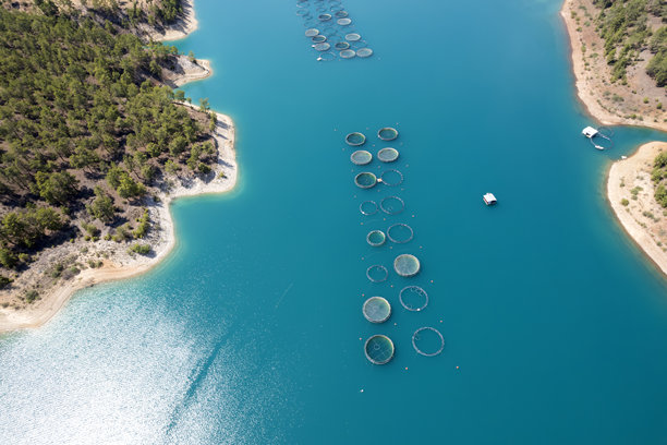 从上面看鱼围场图片下载