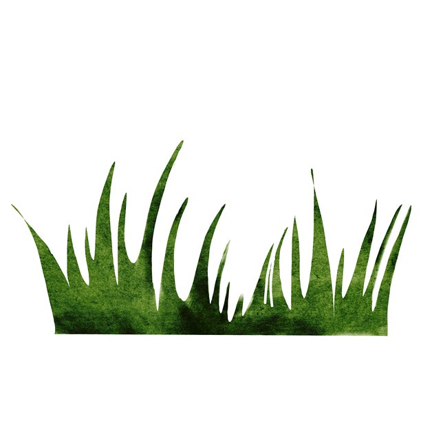 草简单水彩画。手绘绿色植被在孤立的白色背景。剪贴艺术草坪横幅和明信片设计图片下载