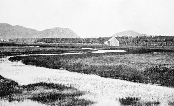 古董照片:Mount Desert Island和Massachusetts Meadow图片下载