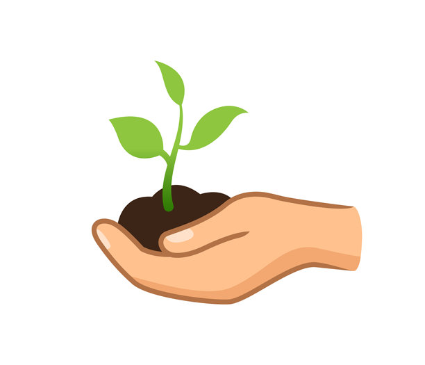 植物在手，树生长用植物的理念图片下载