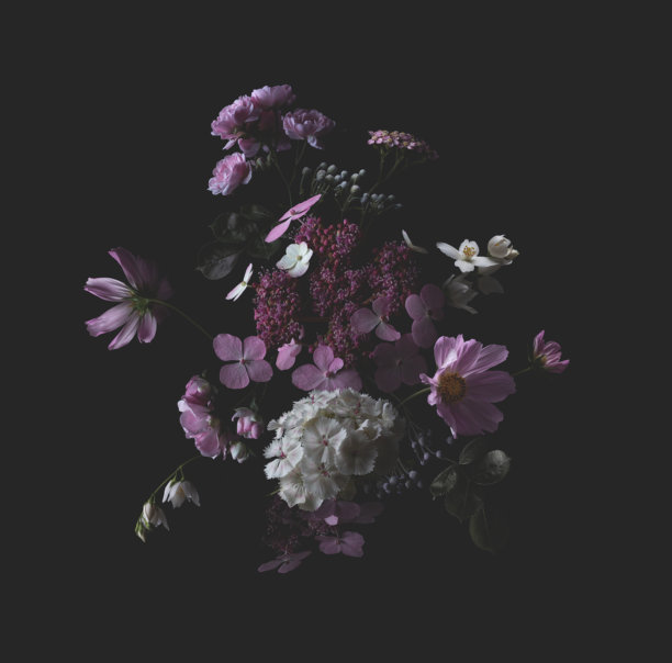 圆云像花束粉红色，紫色和白色的花园花卉和野花在黑暗的背景图片下载