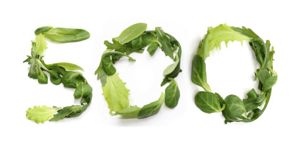 绿周年500号，沙拉生菜叶500号图片下载