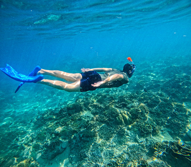 Glu, Glu图片下载