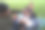 一个又大又胖的亚洲家庭，爸爸、妈妈、女儿在公园里野餐，他们坐着吃零食。他们坐着做作业，互相送花。他们很开心。图片下载