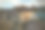 在北约克郡哈罗盖特的经典住宅中的城市建设图片下载