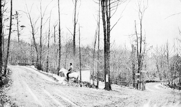 古董照片:森林公园，林恩，马萨诸塞州图片下载