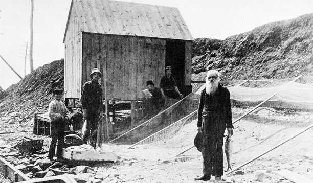 古董照片:在斯塔顿岛图片下载