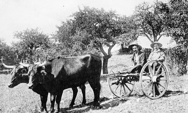 古董照片:海尔德堡，卡茨基尔山脉图片下载