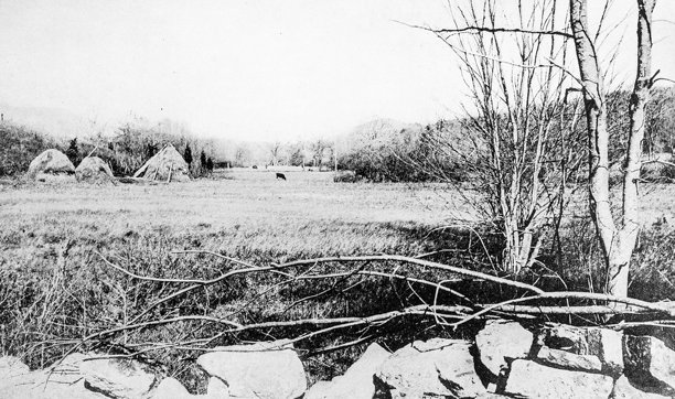 古董照片:新泽西风景图片下载