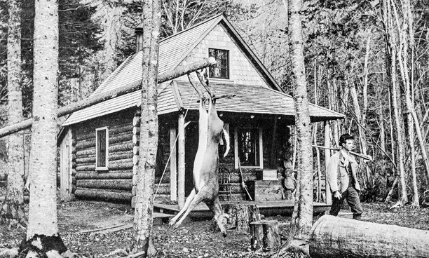 古董照片:缅因州的树林图片下载