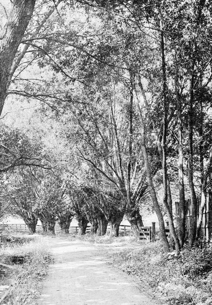 古董照片:老斯托克布里奇图片下载