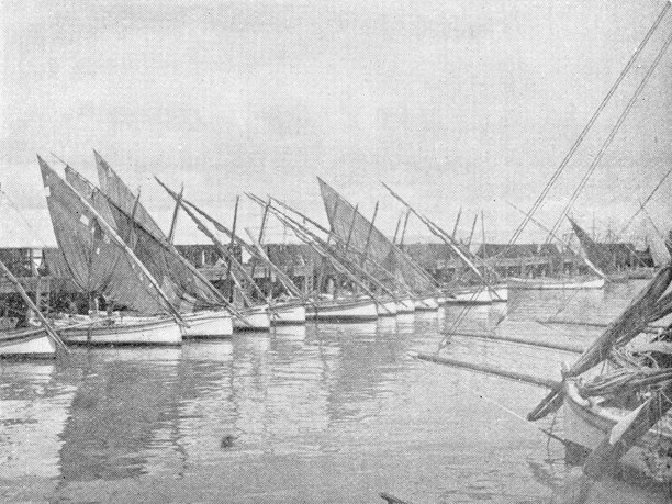 古董照片:旧金山附近的码头图片下载