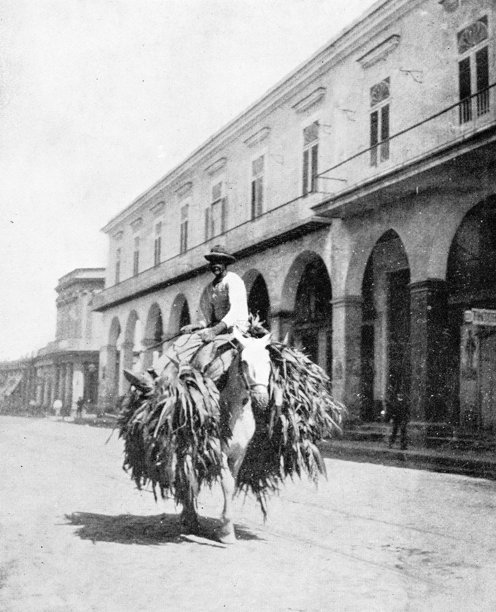 古玩照片:古巴人图片下载