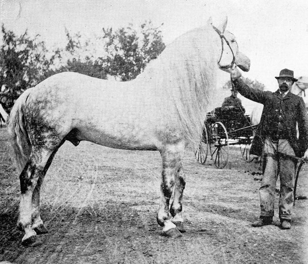 古色古香的照片:集市上的人们图片下载