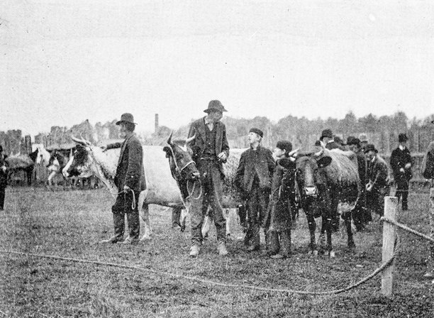 古色古香的照片:集市上的人们图片下载