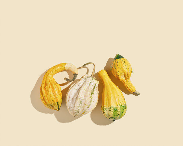 俯视图南瓜，葫芦，各种形状和颜色的南瓜，阳光的影子。秋平铺构图用黄色装饰南瓜，风格极简，概览照片，秋日假期图片下载