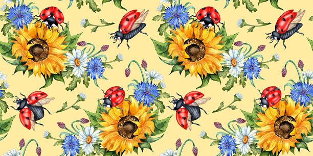 向日葵，雏菊，矢车菊和瓢虫在桃色背景水彩图案图片下载