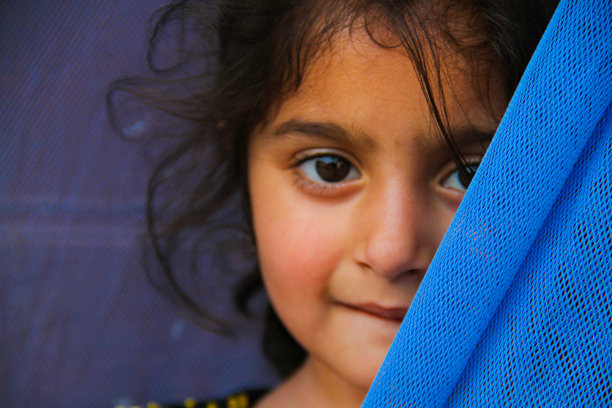 可爱的古拉莱图片下载