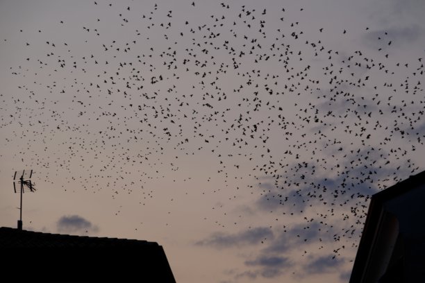 意大利卡奥尔市夜景照片图片下载