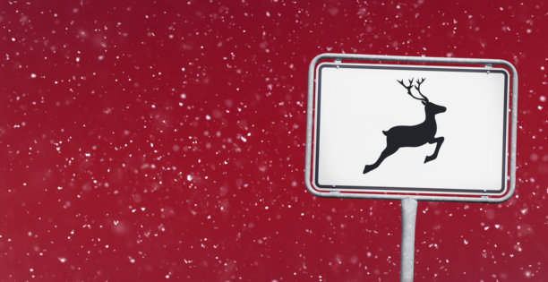 圣诞老人在红色背景下的圣诞照片图片下载