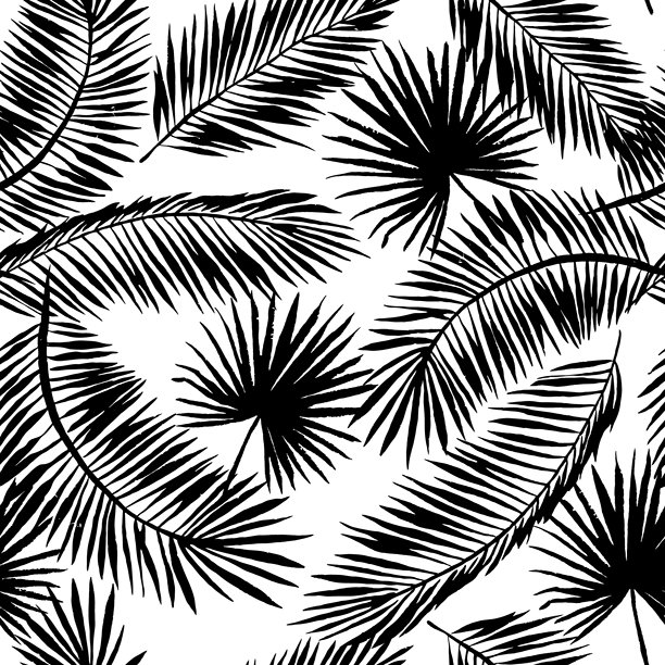 热带棕榈叶剪影在白色的背景。植物插图。矢量无缝模式。奇异的植物。夏季海滩设计。天堂自然图片下载