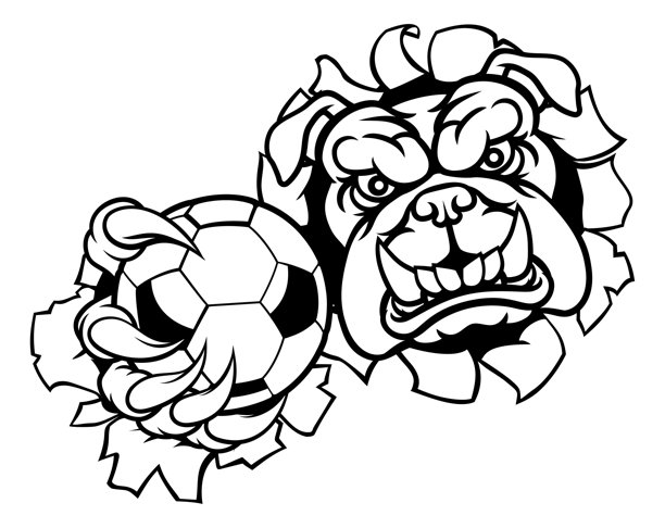 斗牛犬足球足球运动吉祥物图片下载