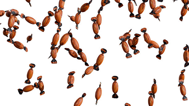 白色背景上有趣的万圣节糖果图片下载