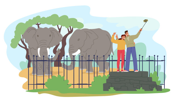 一对幸福的夫妇在动物园自拍，背景是两头大象。一对站在篱笆旁边图片下载