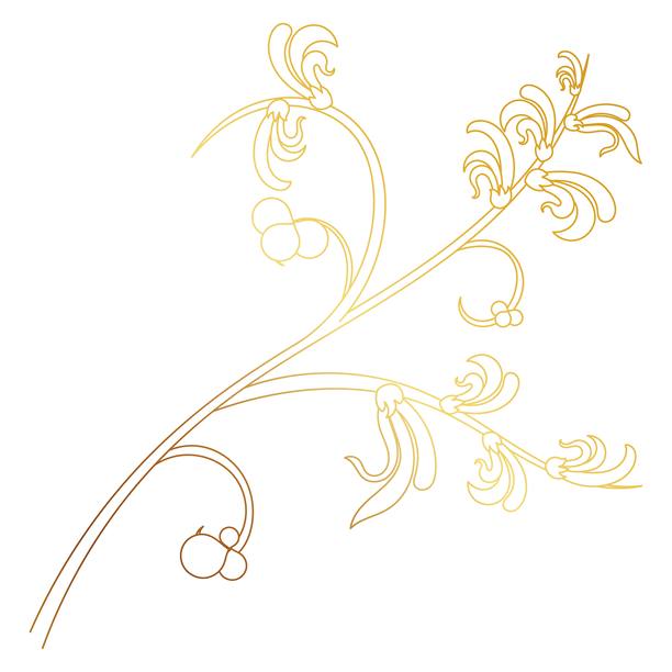 金色的花朵画，森林的火焰，私生子柚木的图形元素。图片下载