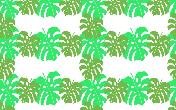 矢量无缝模式与热带怪物树叶在白色背景上。用于纺织品、装饰和设计的图案。图片下载