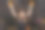 在室内拍摄穿着狂欢节服装的有趣的孩子。快乐的孩子们正在为万圣节做准备图片下载