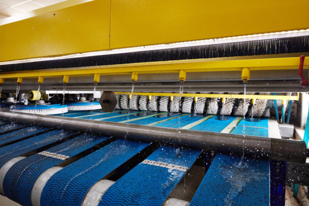 用于地毯洗涤、干洗的自动机器设备图片下载