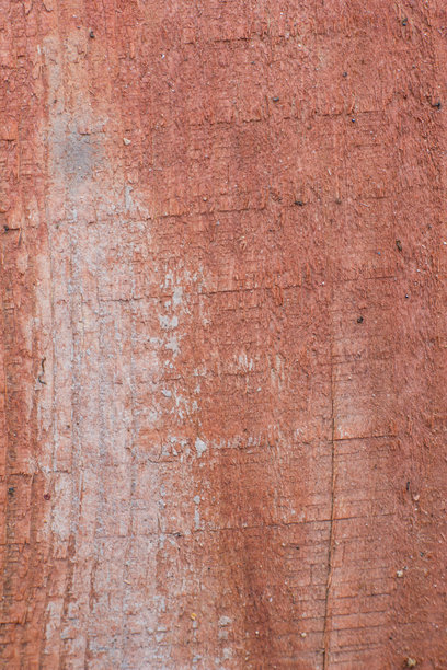 照片的背景是桃花心木图片下载