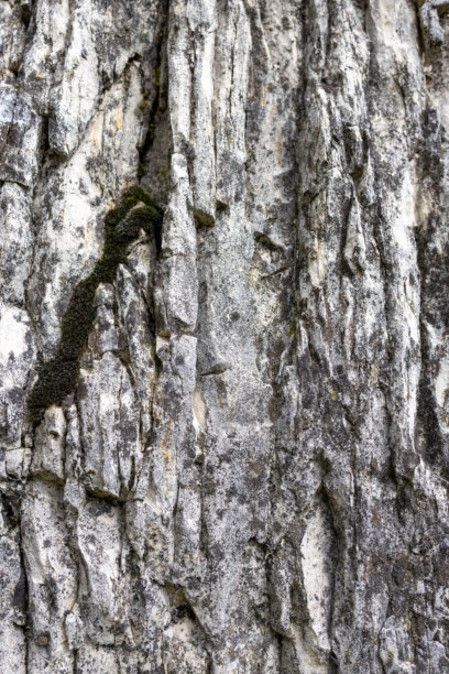 灰色和白色色调的石头粗糙纹理的垂直微距拍摄，照片捕捉到了石头复杂的细节和崎岖的表面图片下载