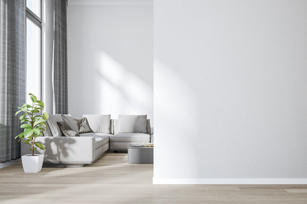 一个舒适，优雅，现代的客厅的正面视图，在前景有一个大的空白的白色墙壁和复制空间，灰色的沙发，窗户和装饰在背景中，广角视图图片下载