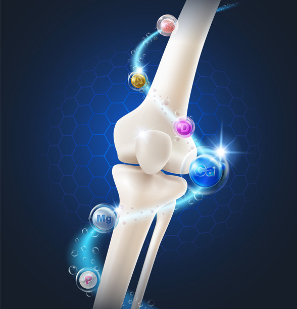 促进骨骼健康的营养素图片下载