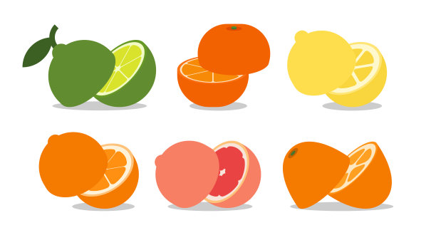 一套半分割柑橘类水果，柠檬，橙子，金桔，葡萄柚，甜酸橙，绿柠檬，橘子，普通话，简单的平面矢量插图。图片下载