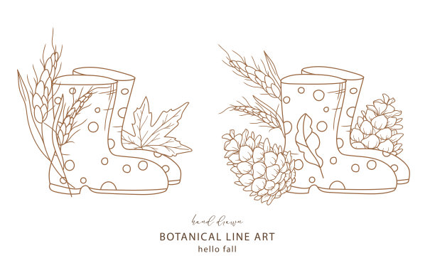 有麦穗和麦叶的雨靴。秋天的安排孤立在白色。靴子线条艺术插图。秋天手绘轮廓。秋天着色页。传统感恩节图片图片下载
