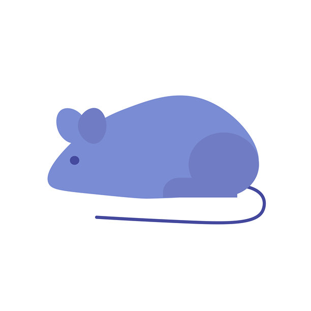 给小猫的老鼠泡沫老鼠形状的猫毛绒玩具图片下载