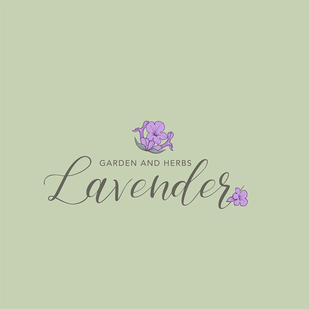 薰衣草花载体。花卉设计标签图片下载